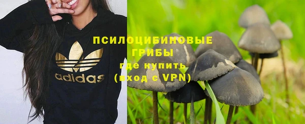 МДПВ Балахна