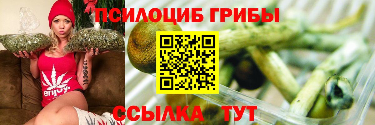 Галлюциногенные грибы MAGIC MUSHROOMS Усть-Джегута