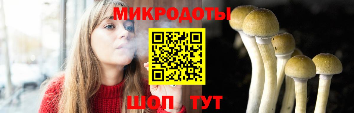что такое наркотик  Вход с VPN  Псилоцибиновые грибы мицелий  Усть-Джегута  Псилоцибиновые грибы мухоморы 