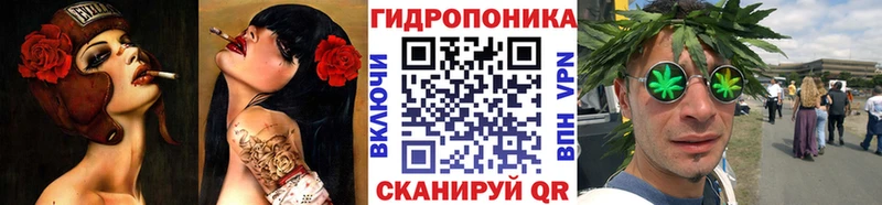 цены наркотик  Усть-Джегута  ОМГ ОМГ ТОР  Конопля гибрид 